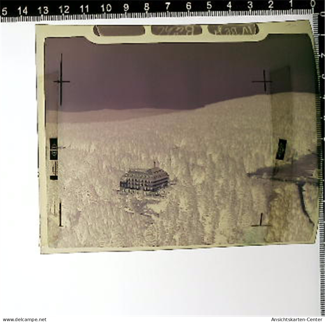 31005353 - Buehl , Baden