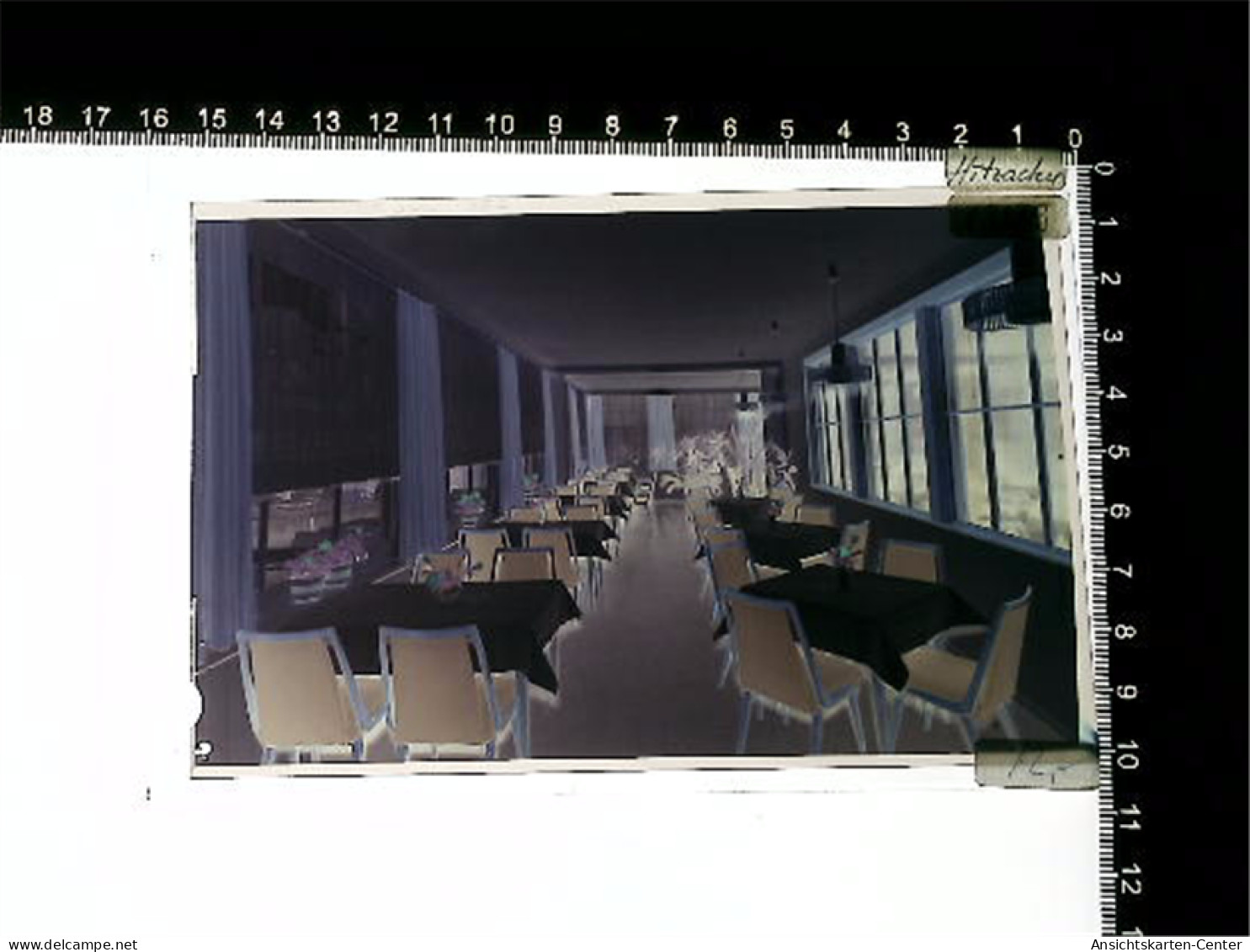 31005781 - Hitzacker Elbe