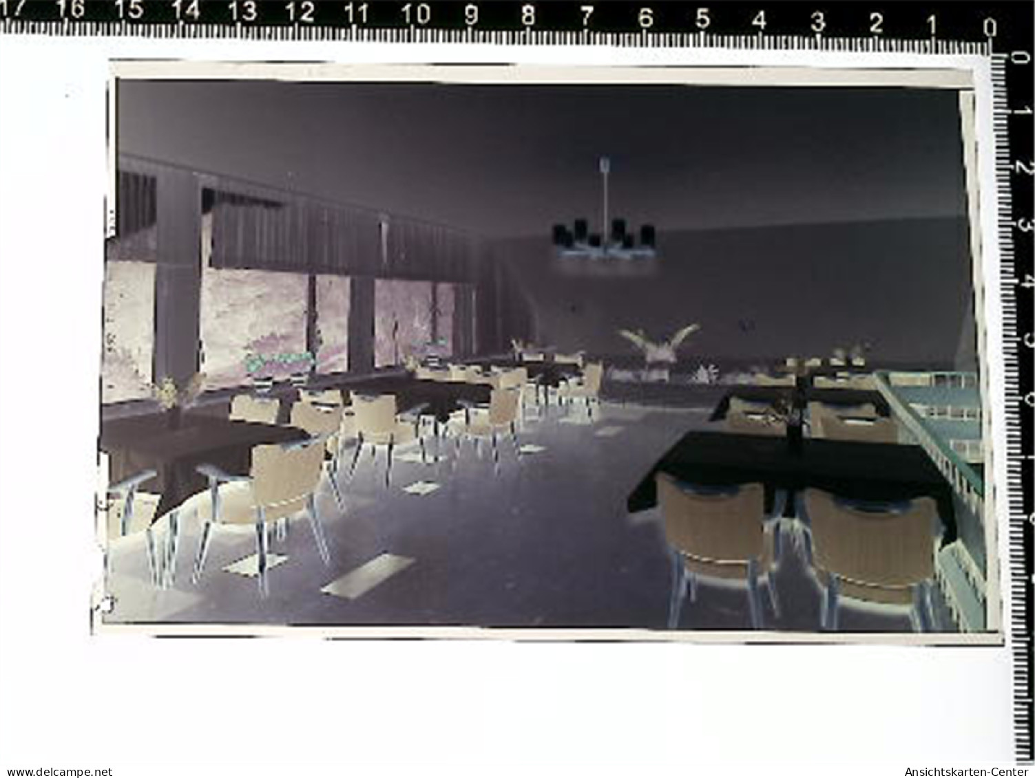 31005786 - Hitzacker Elbe