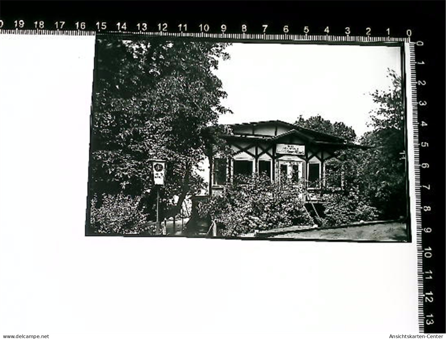 31005790 - Hitzacker Elbe