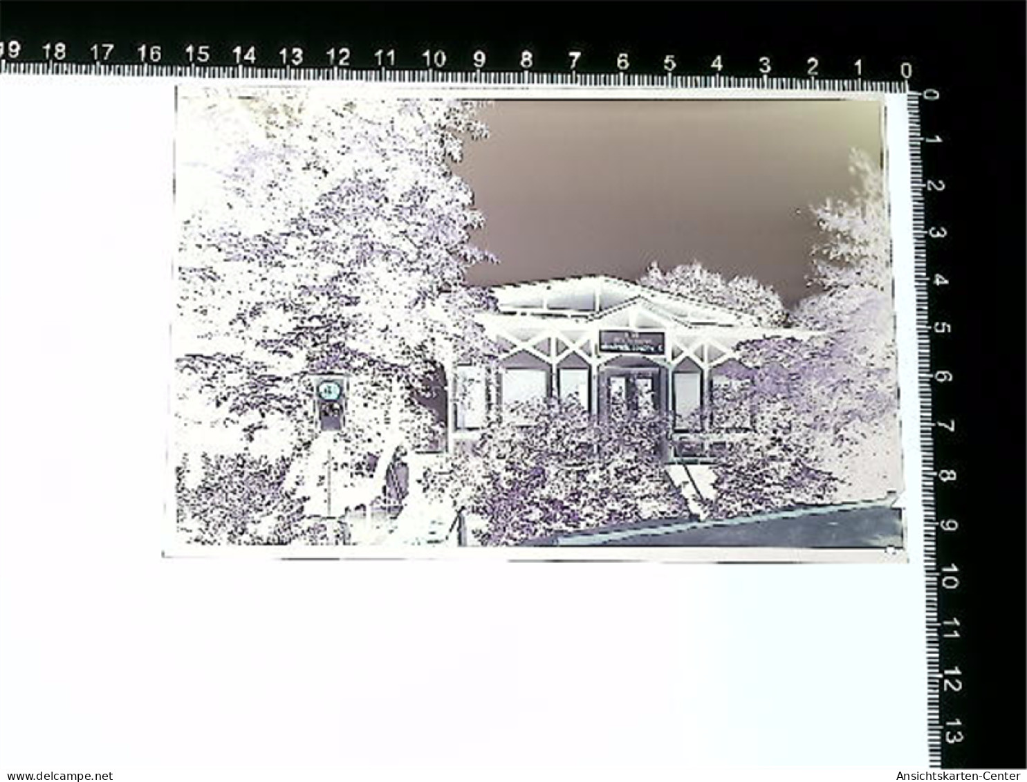 31005791 - Hitzacker Elbe