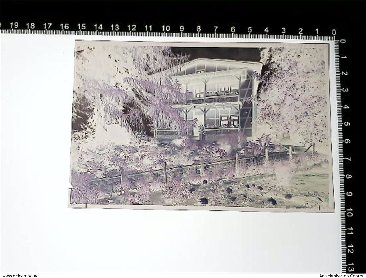 31005794 - Hitzacker Elbe