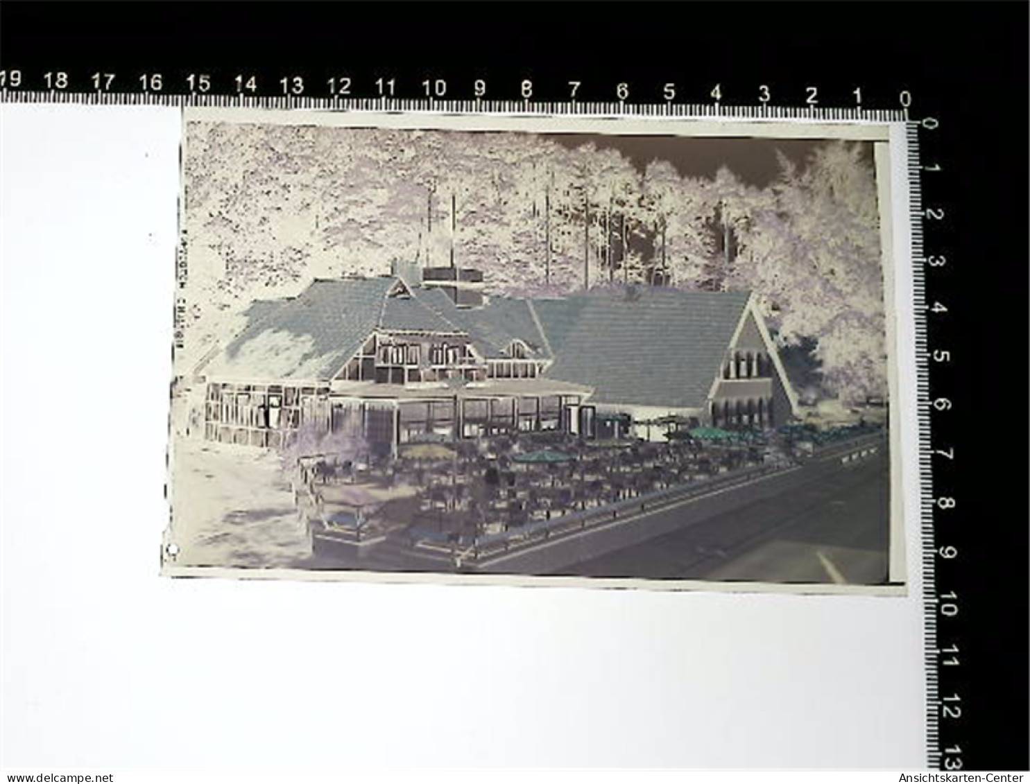 31005796 - Hitzacker Elbe