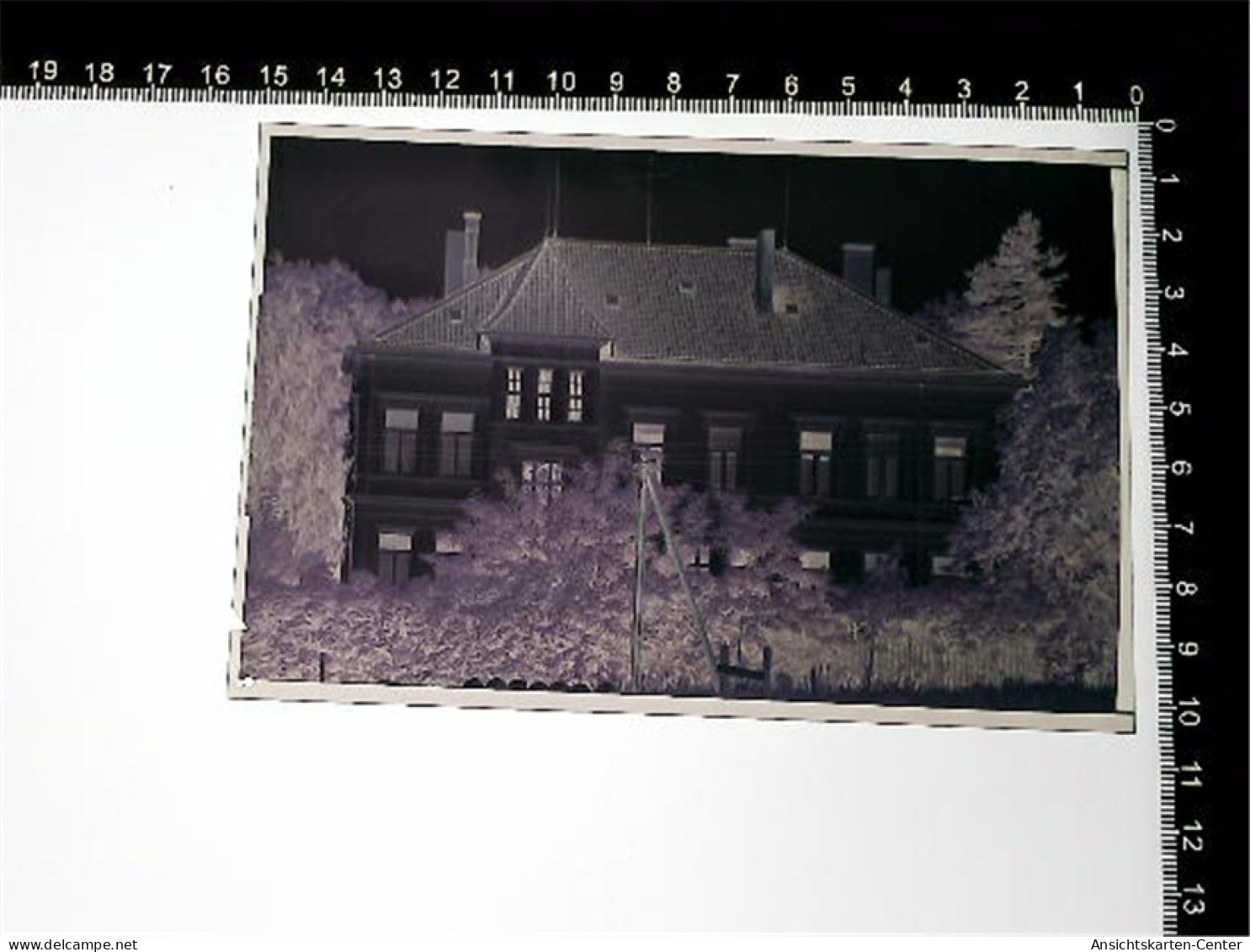 31005798 - Hitzacker Elbe