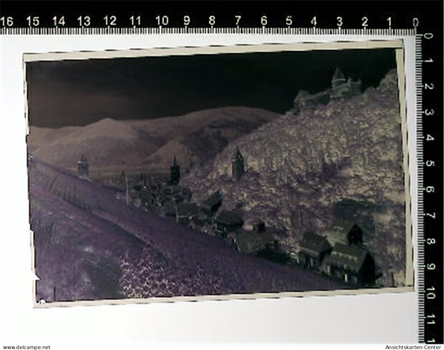 31006258 - Bacharach