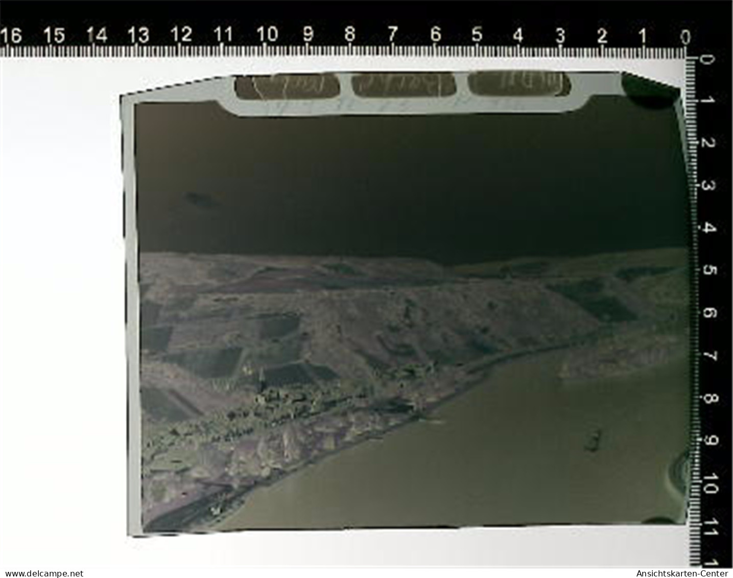 31006291 - Bacharach