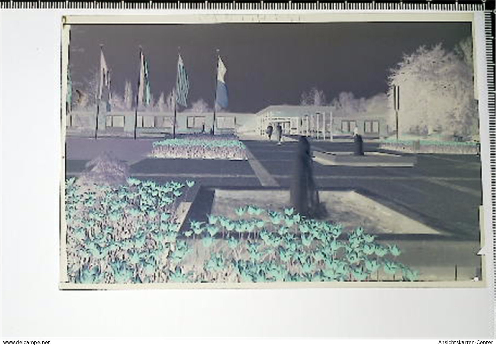 31006955 - Bad Bellingen , Baden