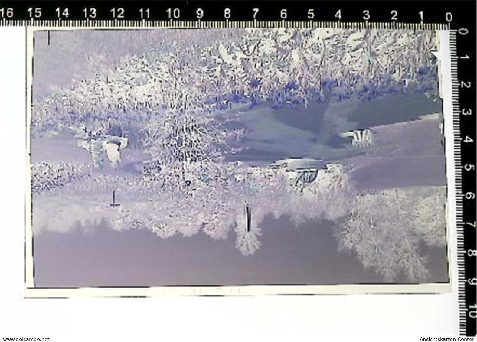 31006983 - Bad Bellingen , Baden