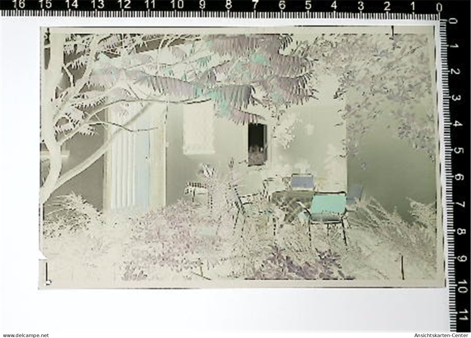 31007006 - Bad Bellingen , Baden