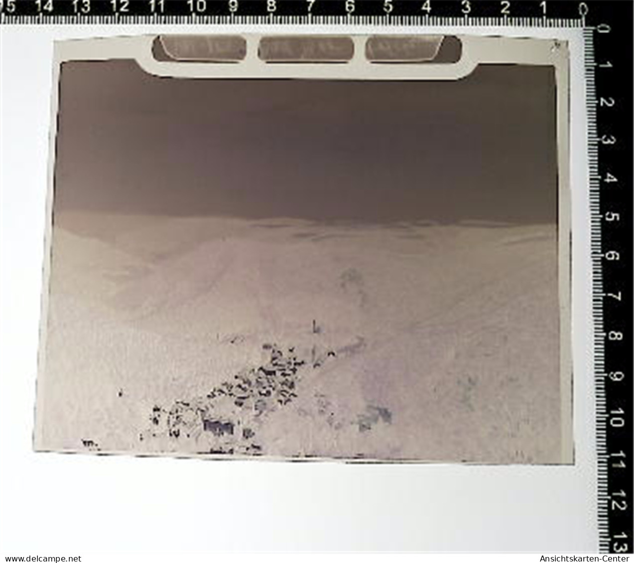 31007393 - Bad Bertrich