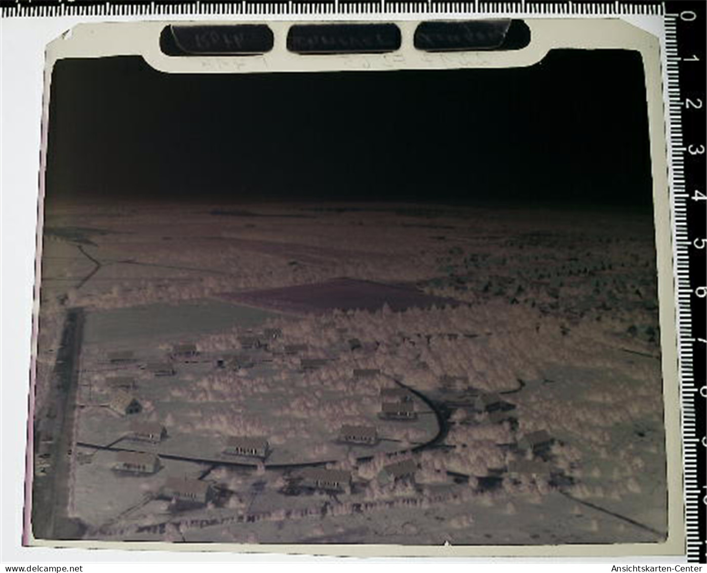 31008650 - Schneverdingen