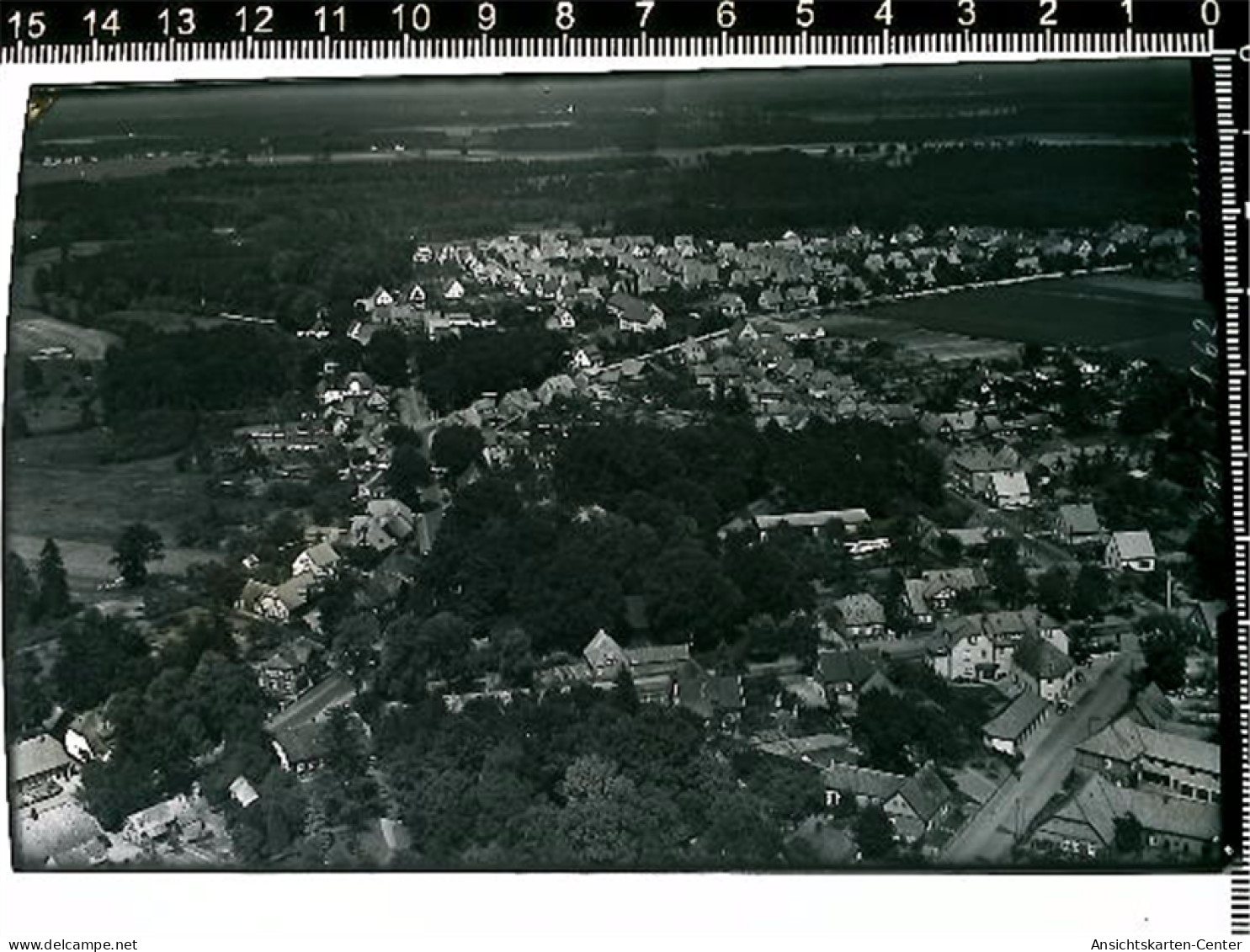 31008693 - Fallingbostel