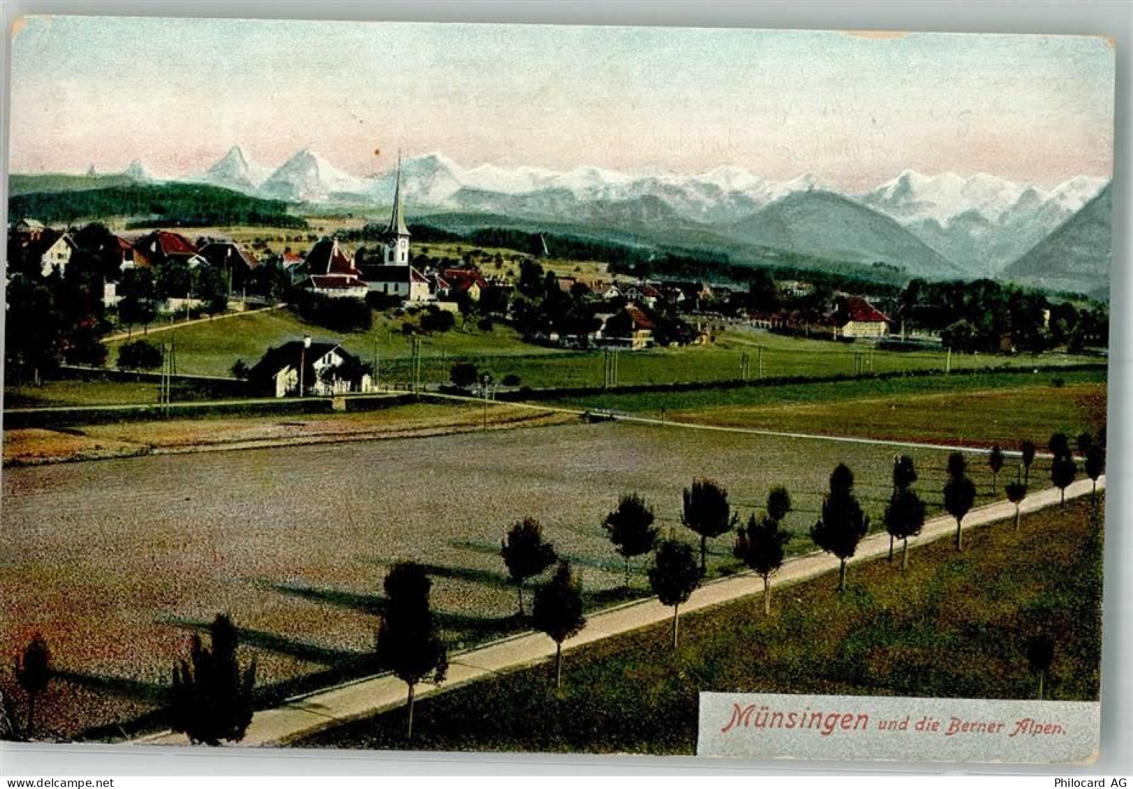 3110 Münsingen 1909 Foto AK - 10741711