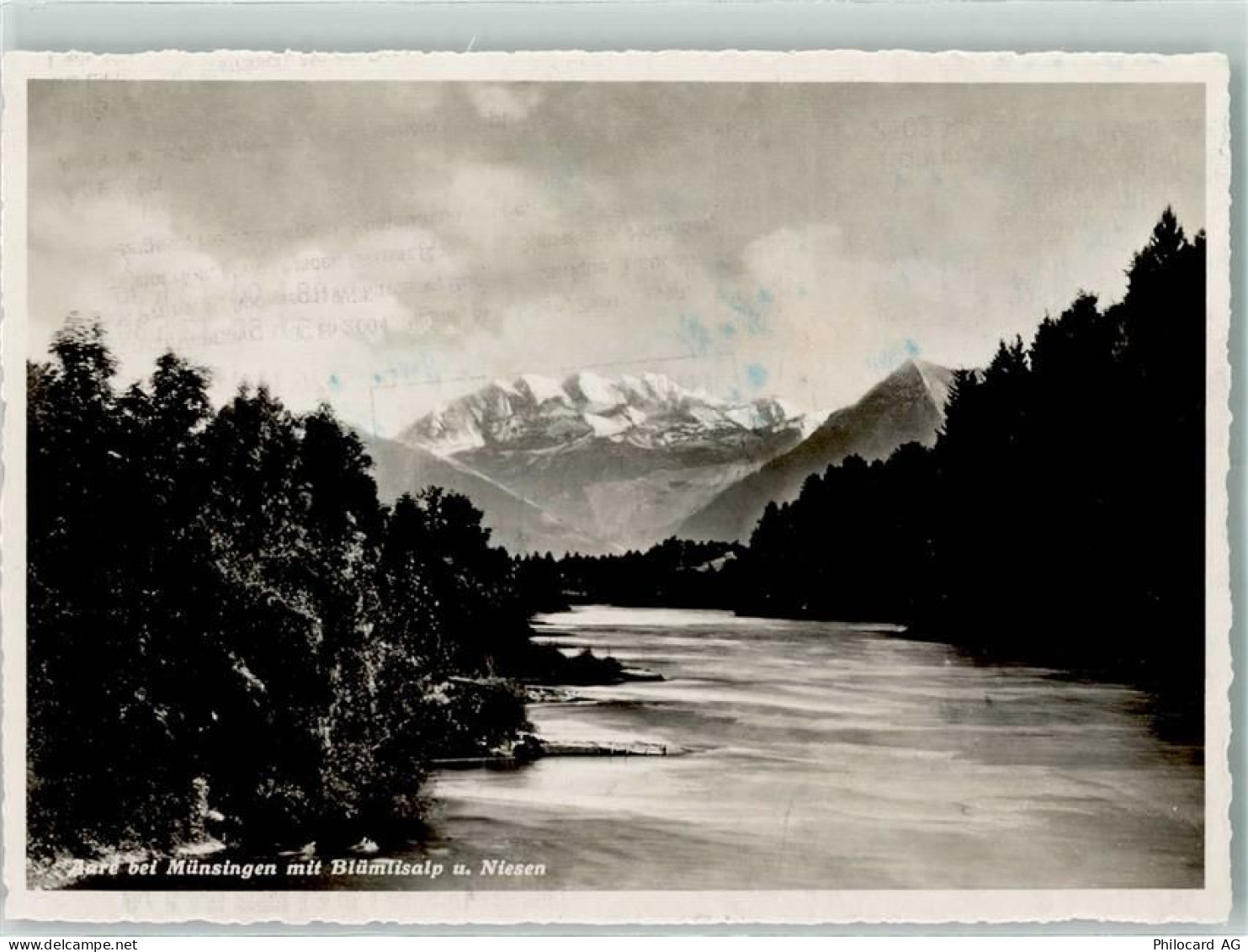 3110 Münsingen - Aare Blümlisalp Niesen - 10304087