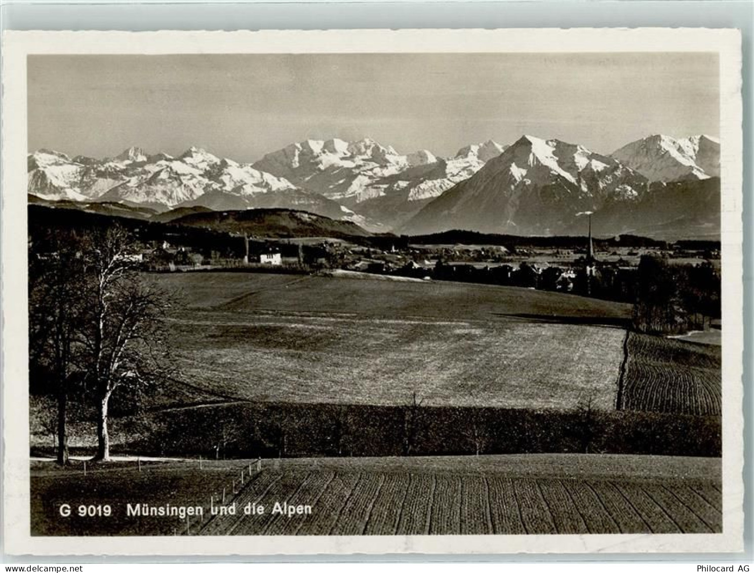 3110 Münsingen - Alpenkette - 10304088