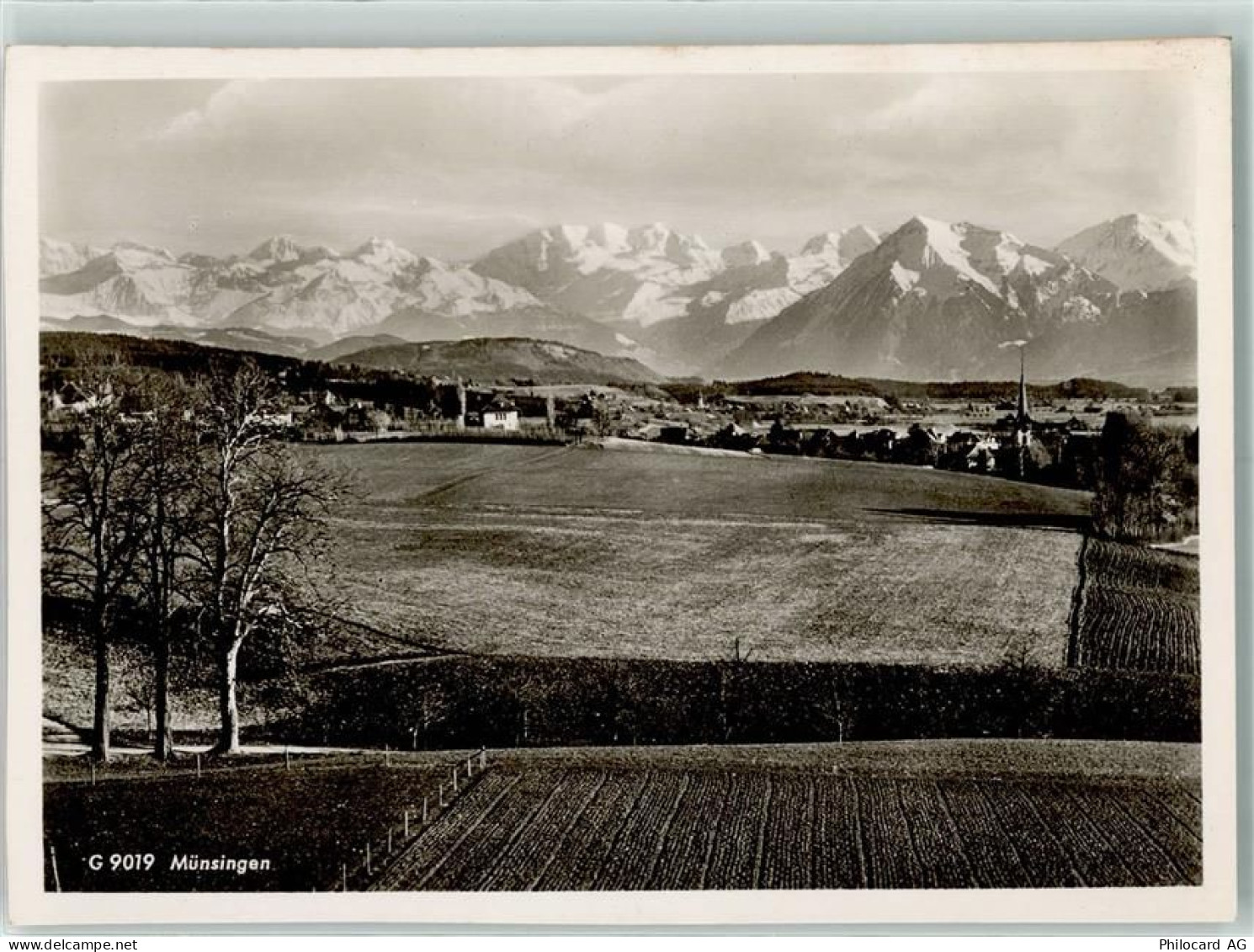 3110 Münsingen - Alpenkette - 10304091