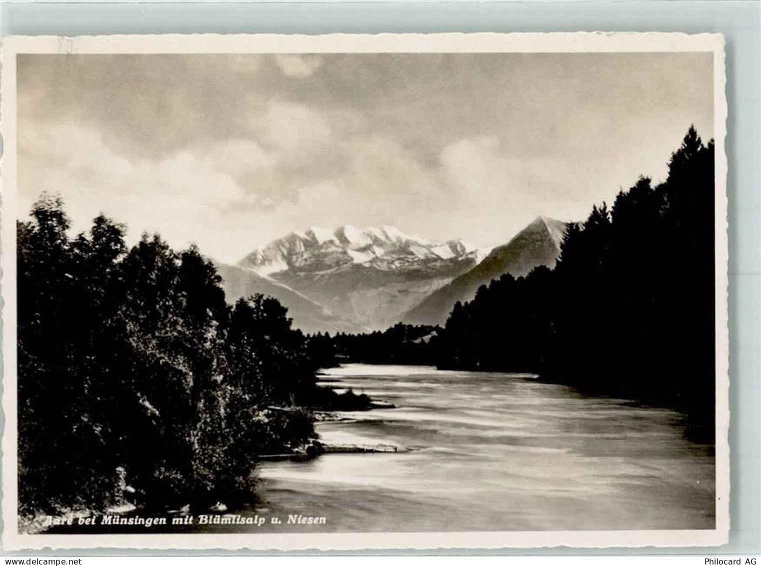 3110 Münsingen - Blümlisalp Niesen - 10304093