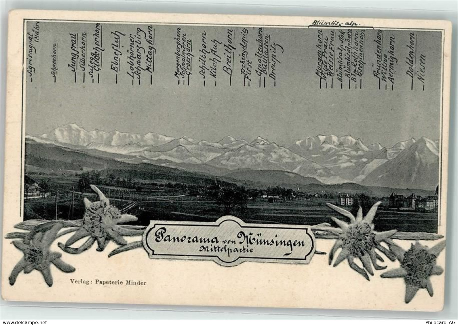 3110 Münsingen - Panorama Alpenkette Edelweisse - 13191280