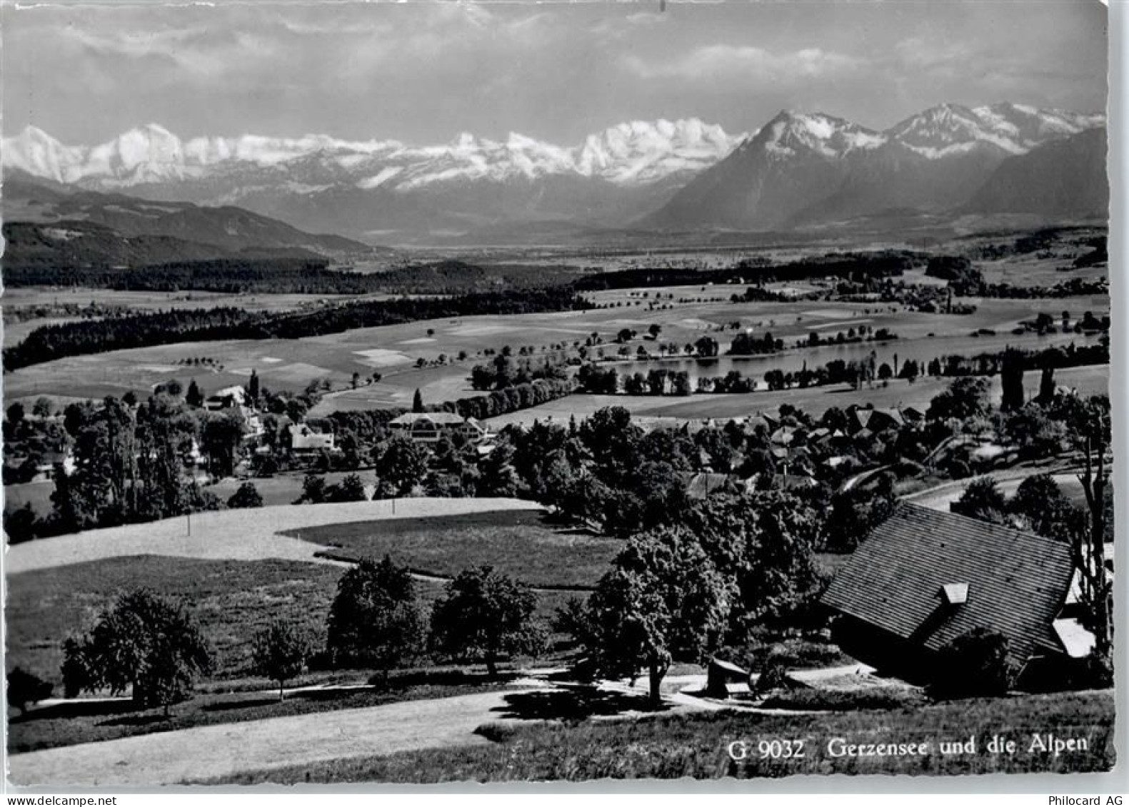 3115 Gerzensee - 50771798