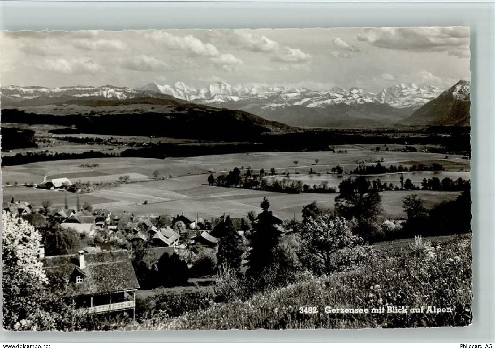 3115 Gerzensee - Blick auf Alpen - 11051078
