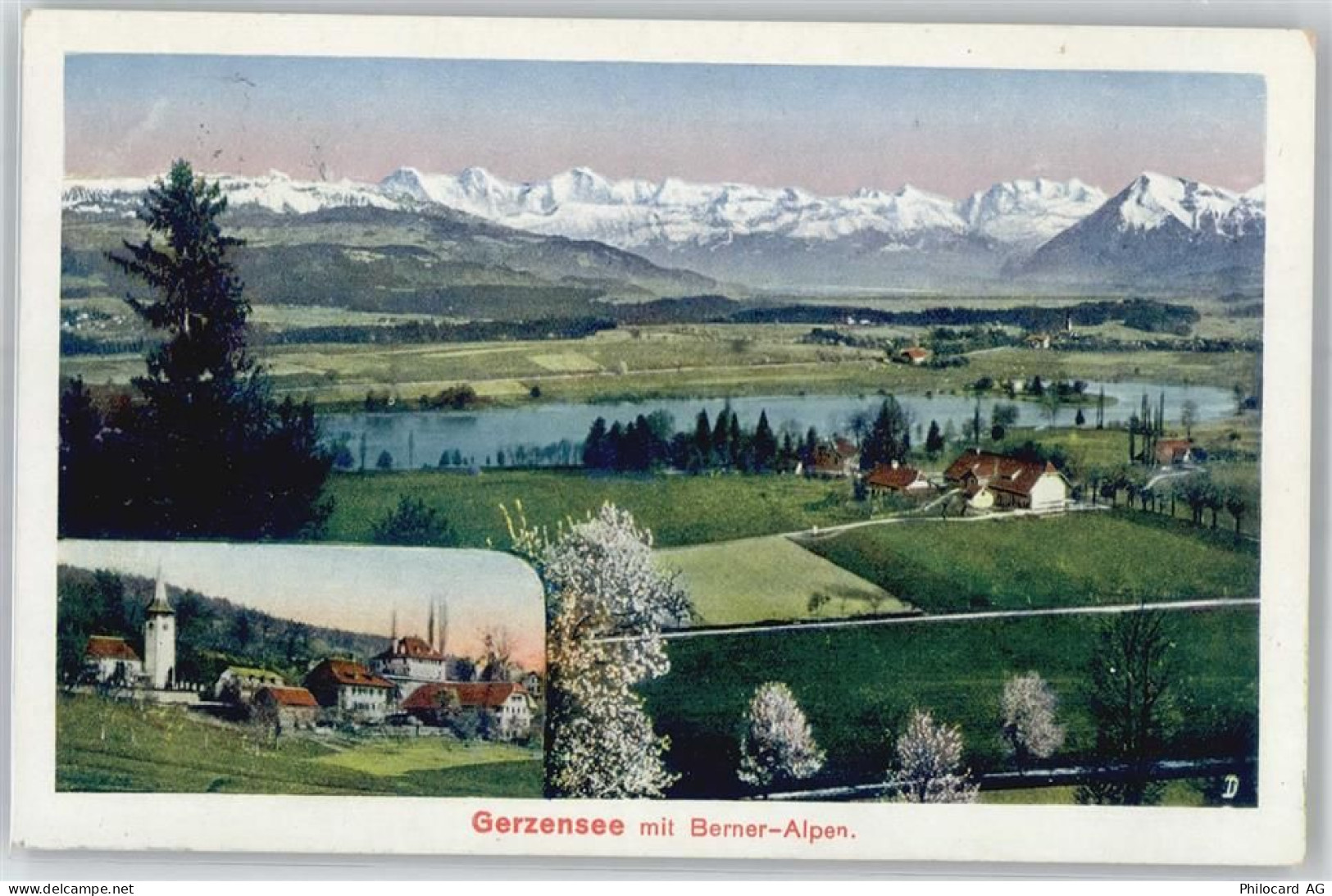 3115 Gerzensee - Blick auf Berner Alpen - 51088863