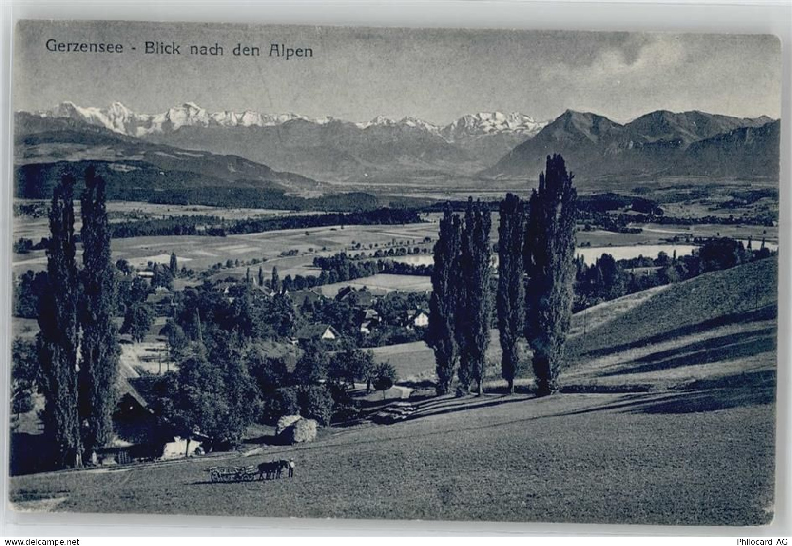 3115 Gerzensee - Blick nach den Alpen - 51088865