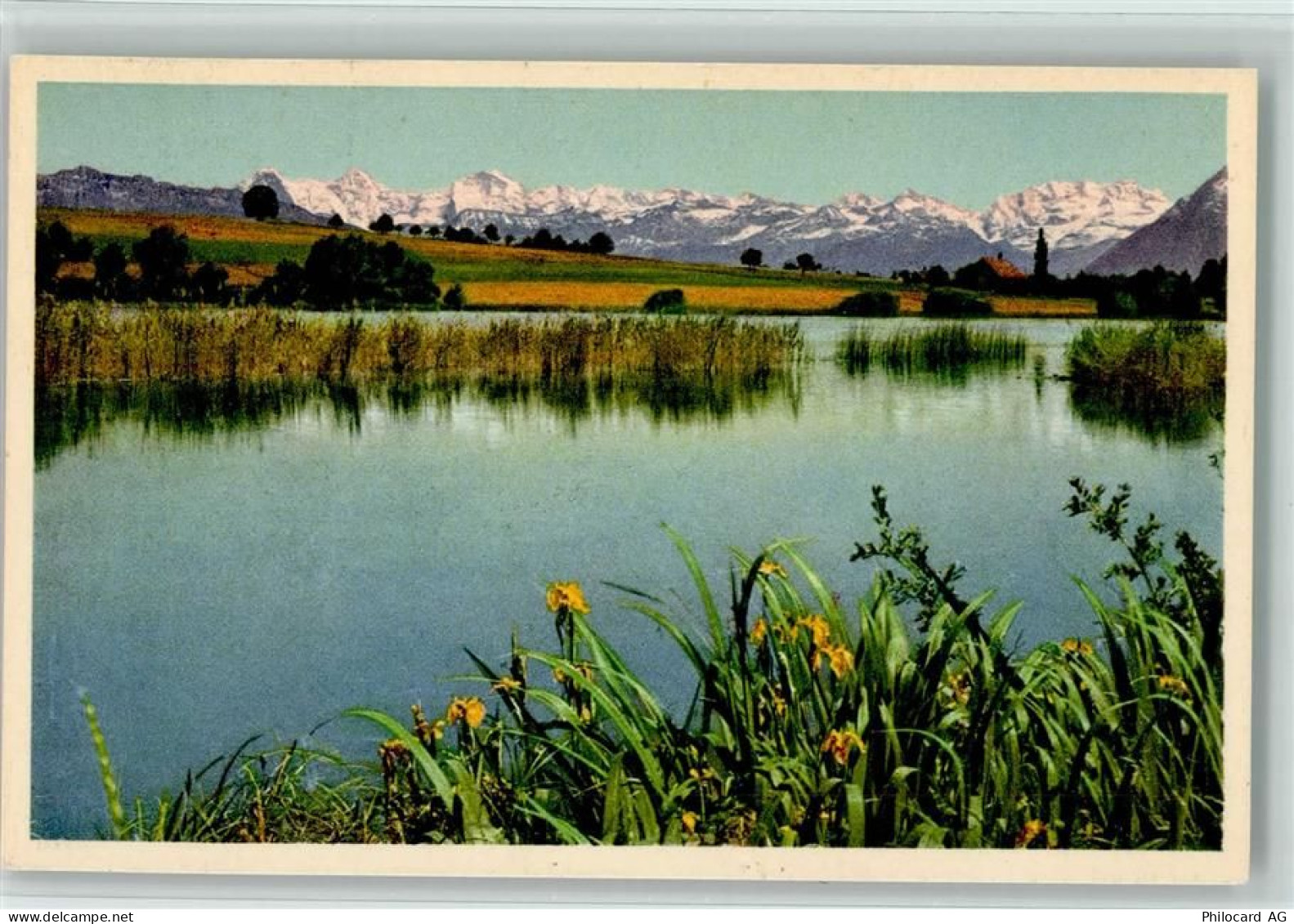 3115 Gerzensee - Gerzensee Berner Alpen - 10159662