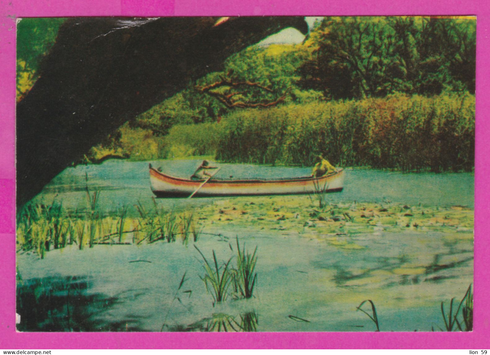 312409 / Bulgaria - River Kamchiya , Kamtschia - Fluss Boat Rowing PC 10.2 x 7.0 cm. Bulgarie Bulgarien Bulgarije