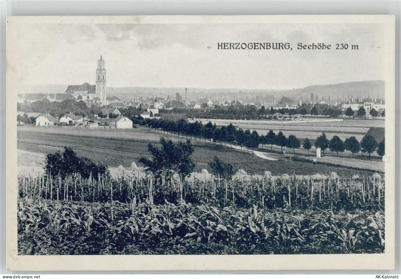3130 Herzogenburg - 51674930