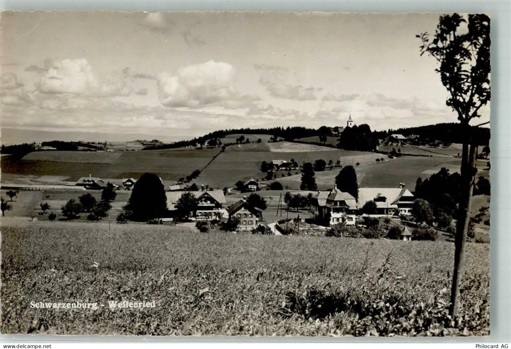 3150 Schwarzenburg 1946 Foto AK Wettenried - 38022127