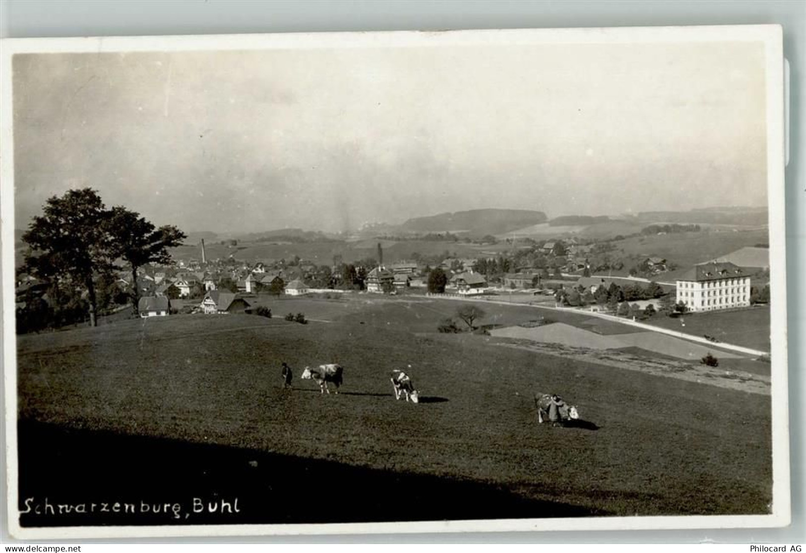 3150 Schwarzenburg Foto AK Buhl Feldpost Bataillon - 38021933
