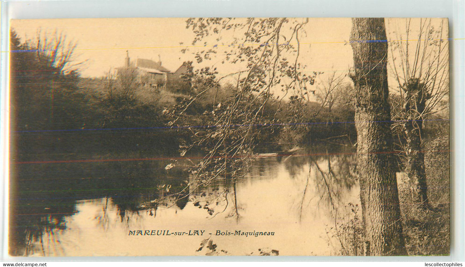 31541 - MAREUIL SUR LAY DISSAIS - BOIS MAQUIGNEAU