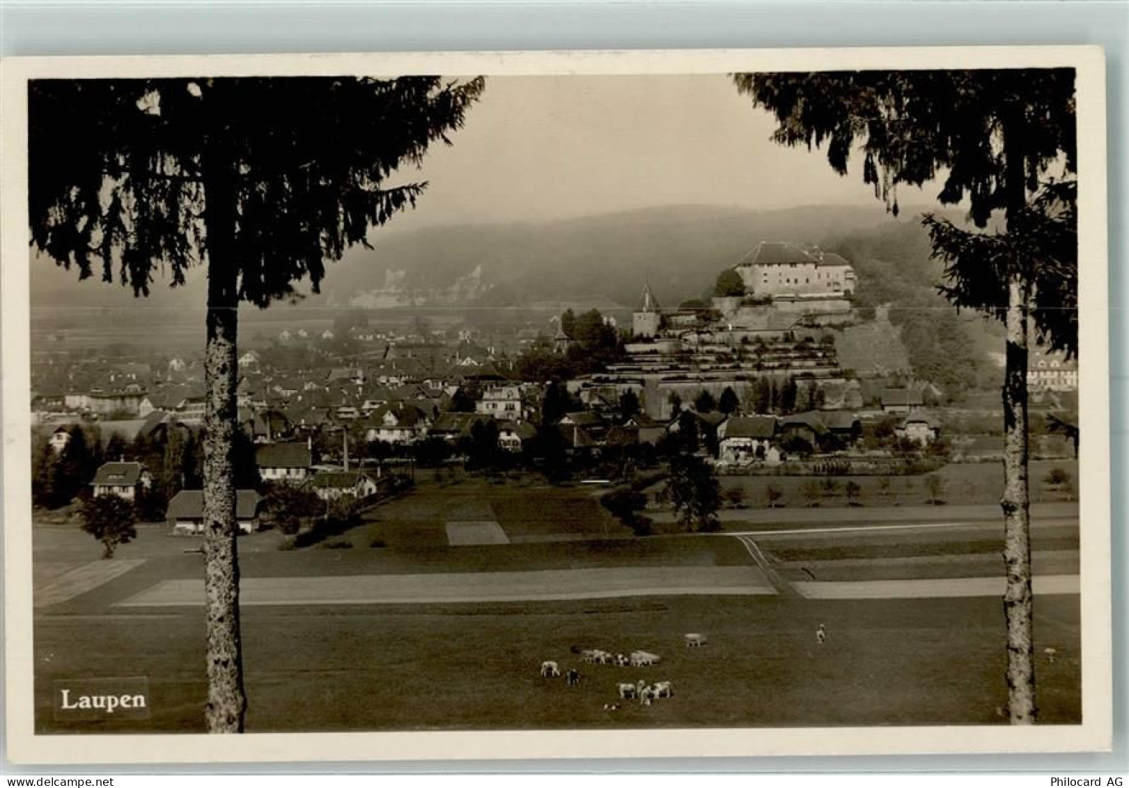 3177 Laupen BE - 13159118