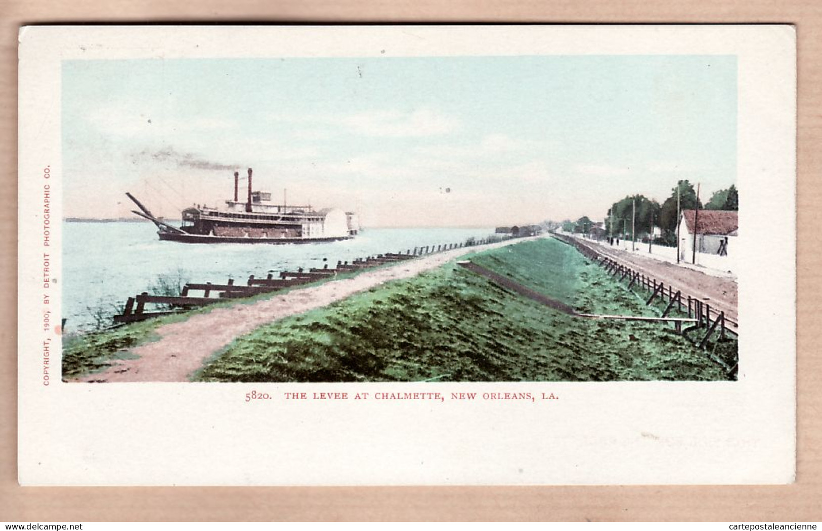 31779 /  ◉  NEW-ORLEANS Louisiana-LA The Levee at CHALMETTE Copyright 1900 By DETROIT PHOTOGRAPHIC Co N°5820