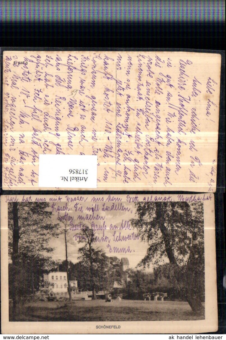 317856,Sch&ouml;nefeld Blick zur Dorfkirche Kirchenturm