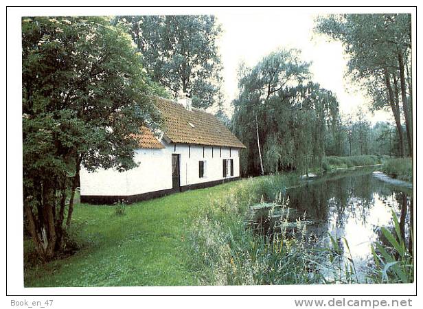 {32042} Belgique Wachtebeke , Type d'habitation du domaine provincial de Puyenbroeck. " en baisse "