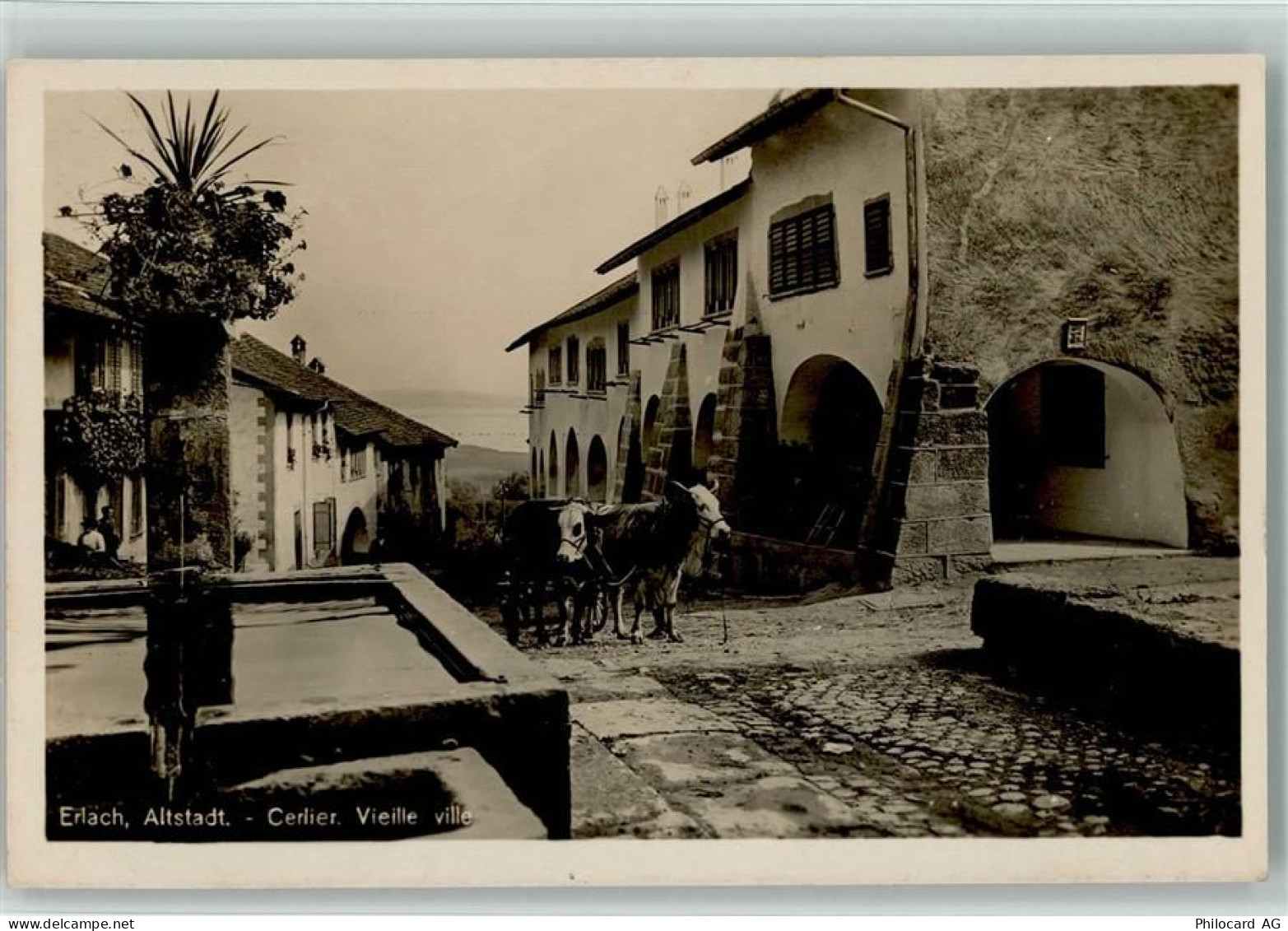 3235 Erlach - Altstadt Cerlier Vieille ville Ochsenkarren - 13113791
