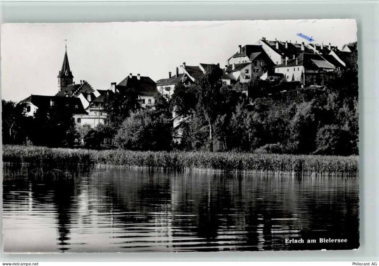 3235 Erlach - Bielersee - 10194412