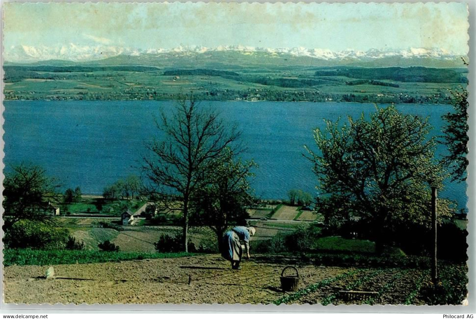 3280 Murten Morat - Murtensee - 39493248