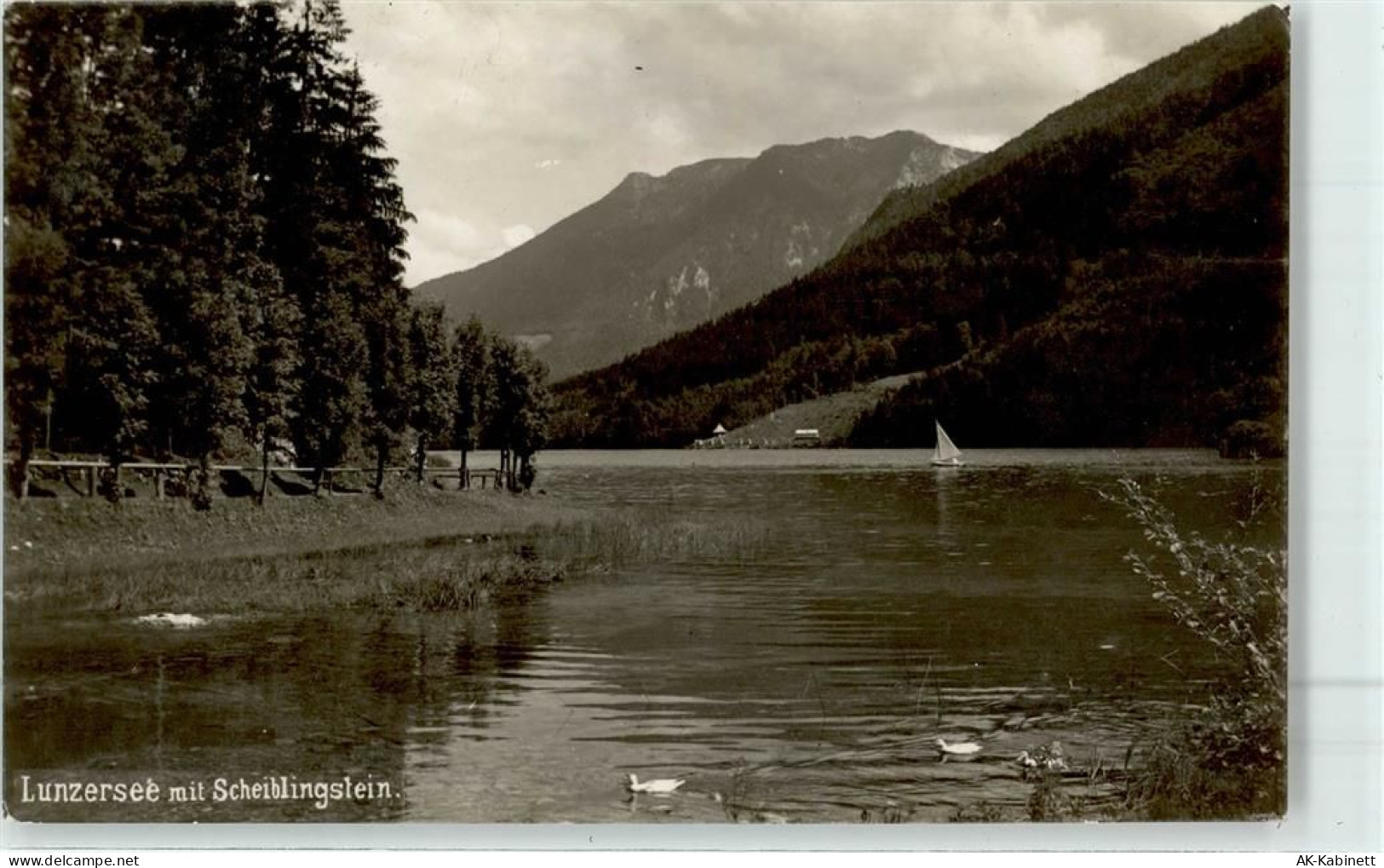 3293 Lunz am See - 52043698