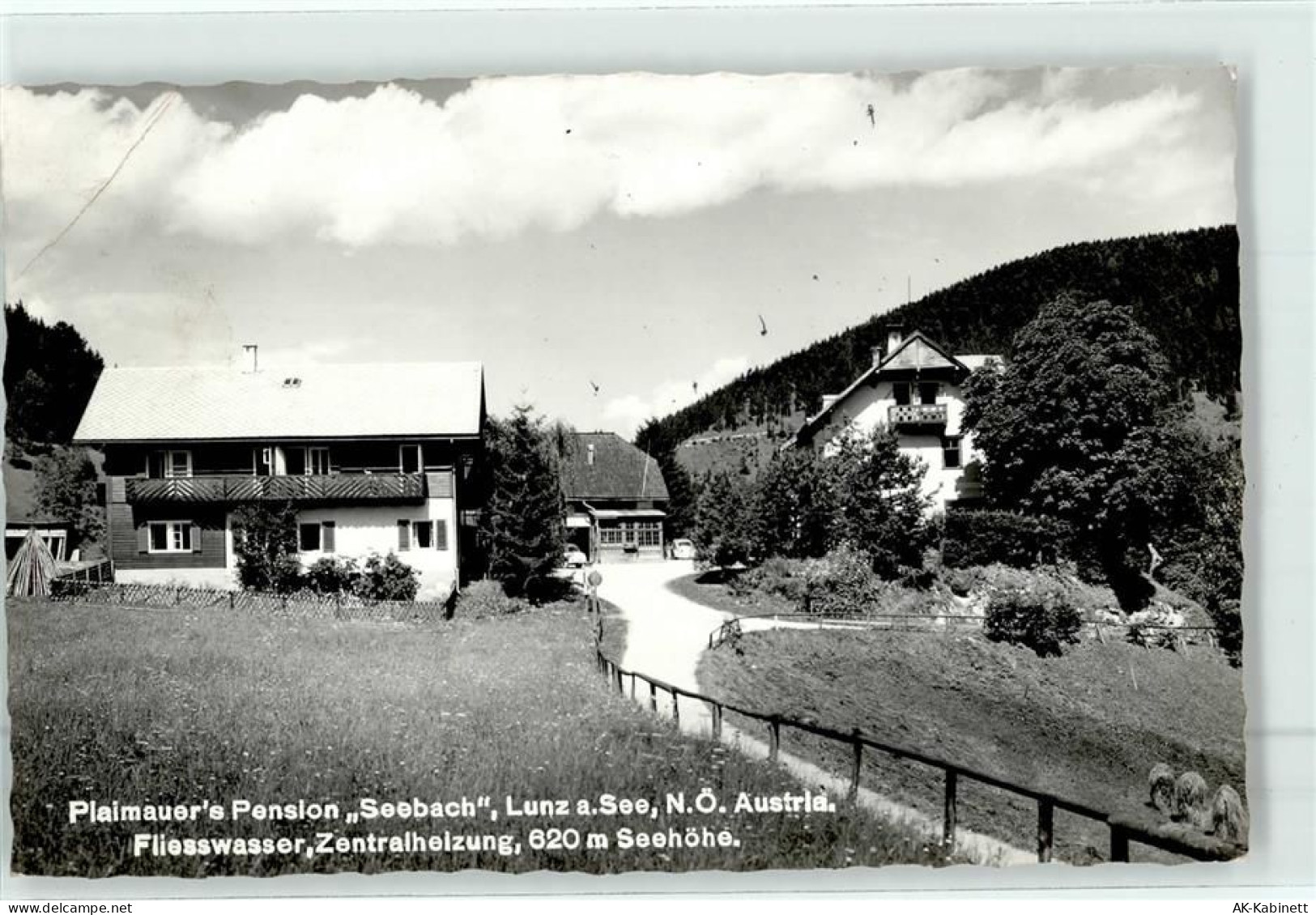 3293 Lunz am See - 52043725