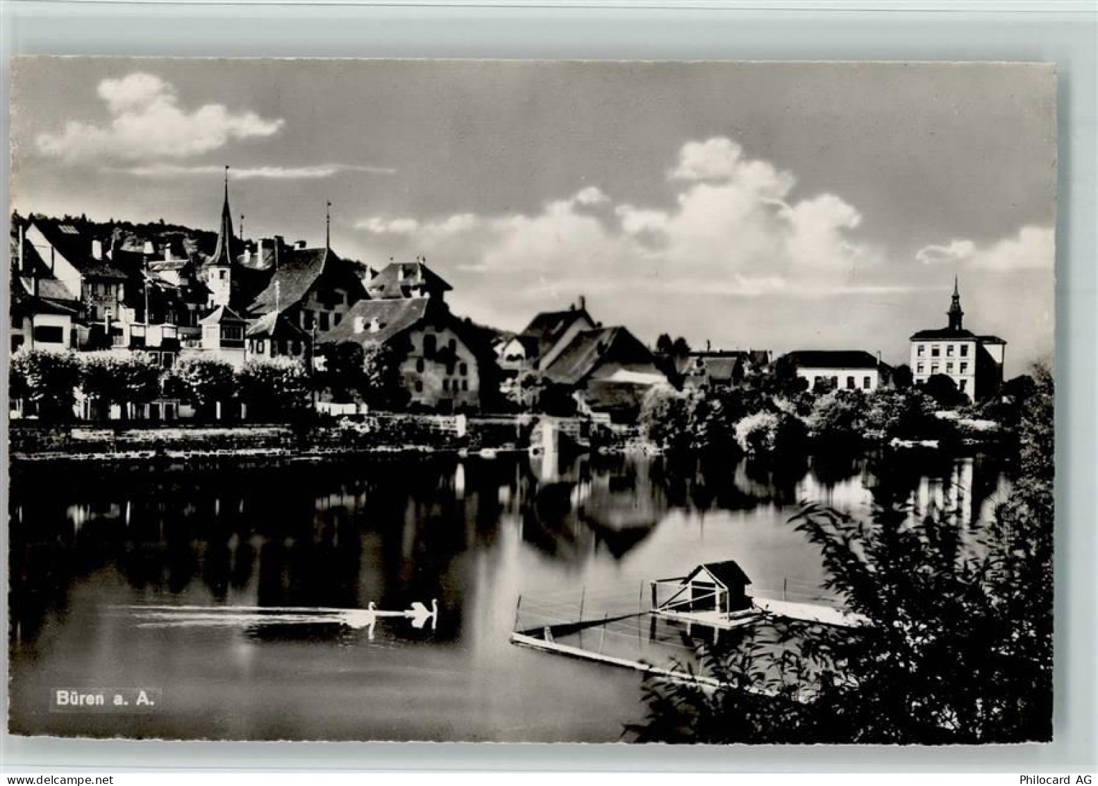 3294 Büren an der Aare - Die Aare Schwäne - 10194449