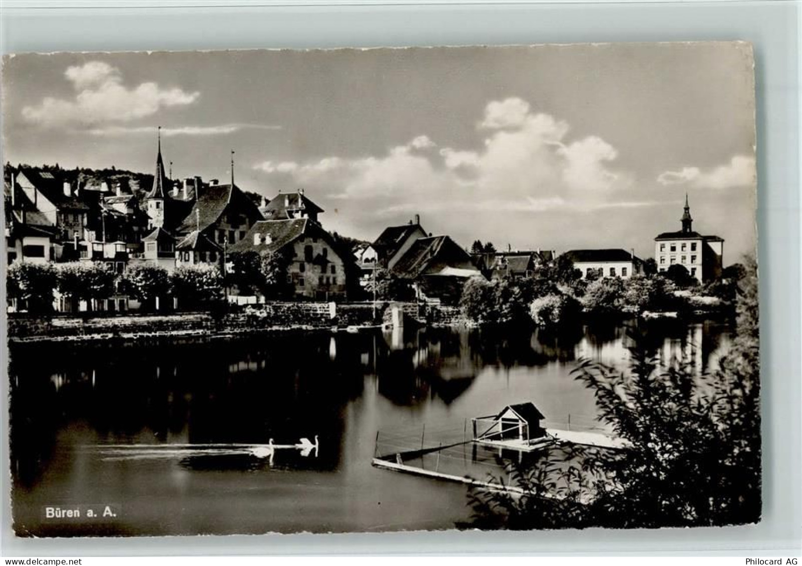3294 Büren an der Aare - Die Aare und Schwäne - 10194446