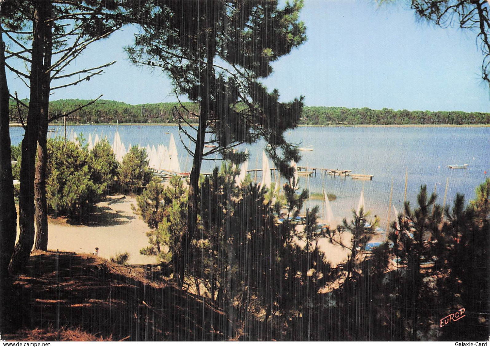 33 CARCANS ETANG DE CARCANS HOURTIN