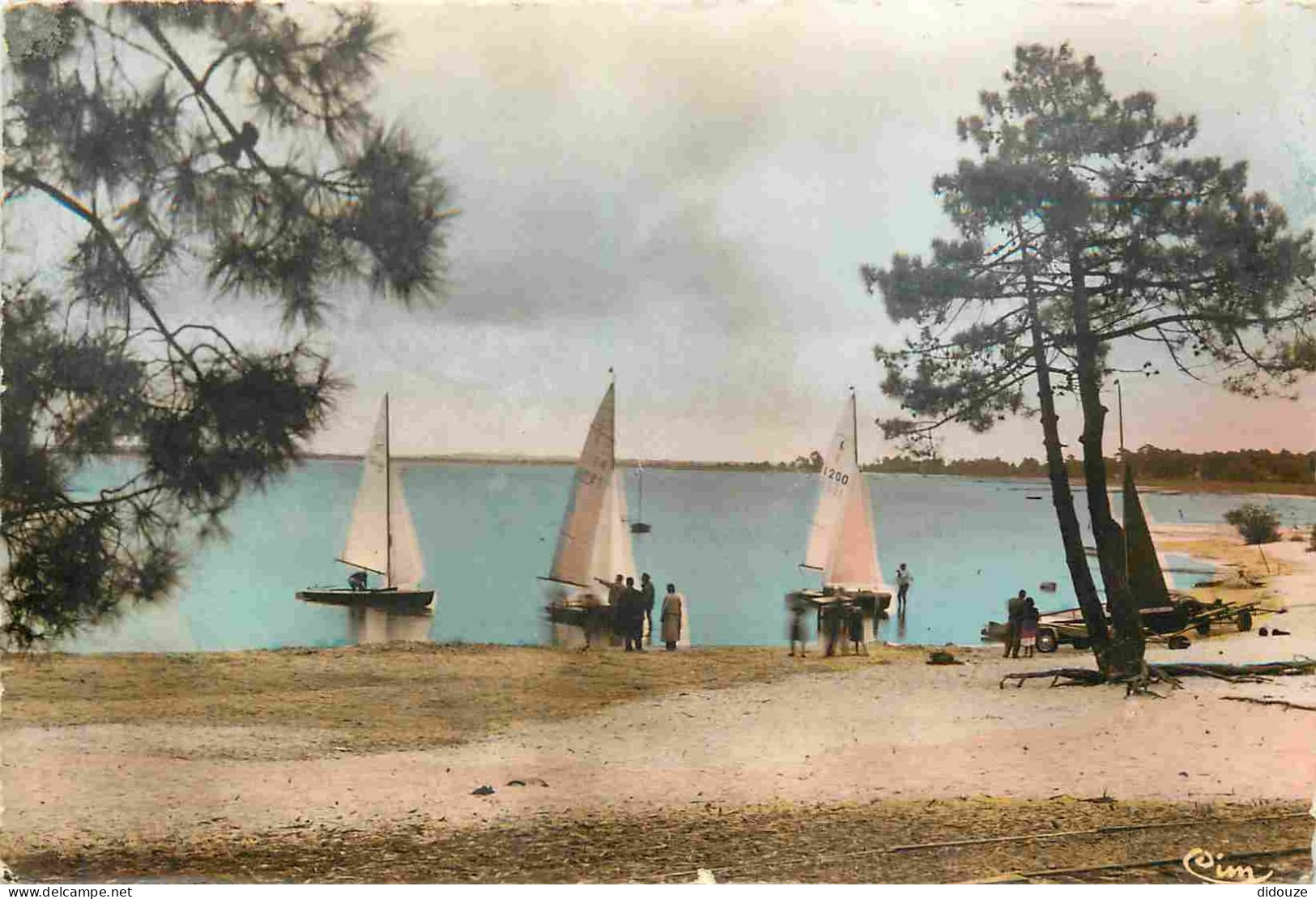 33 - Carcans - Régates sur le lac à maubuisson - Animée - Colorisée - Mention Photographie Véritable - Carte Dentelée -