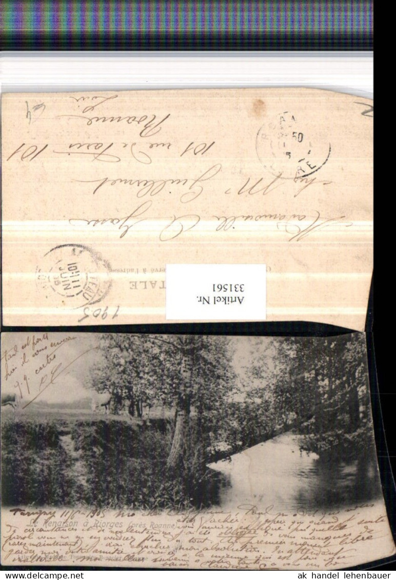 331561,Rhone-Alpes Loire Le Renaison a Riorges Fluss