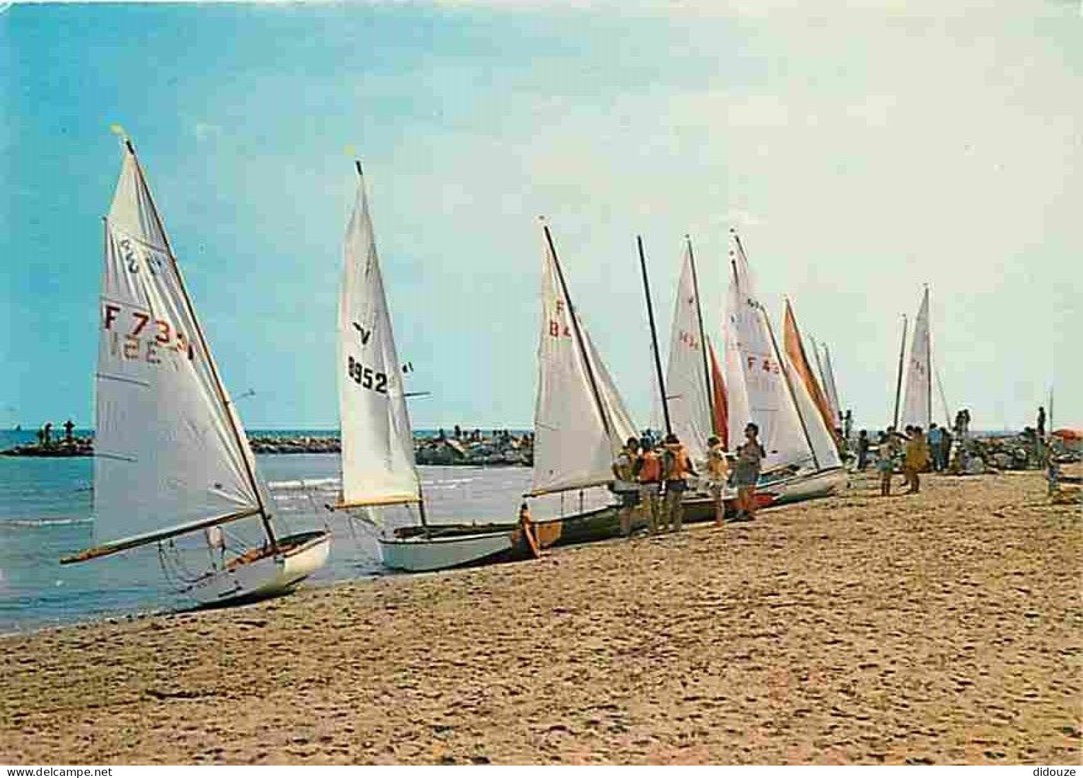 34 - Frontignan - Cours de Voiles et préparatifs pour le départ en mer - CPM - Voir Scans Recto-Verso