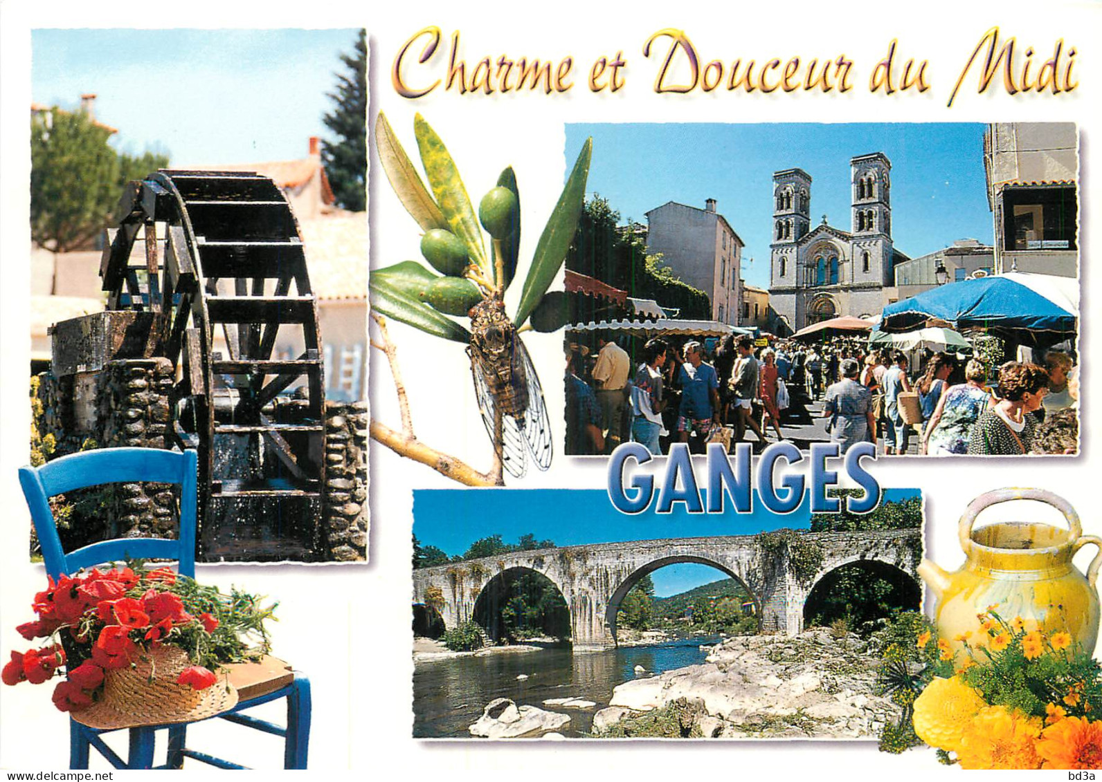 34 - GANGES