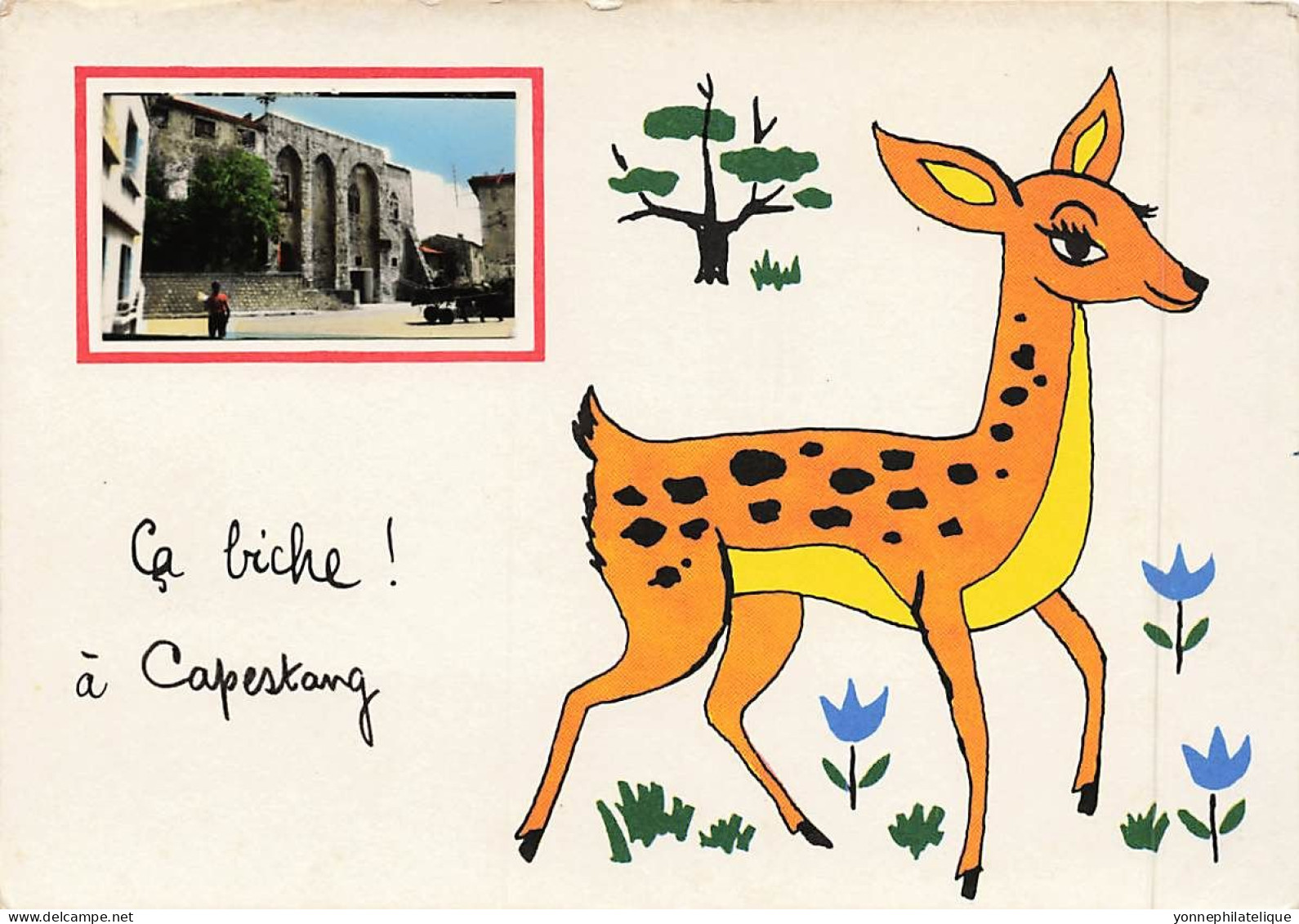 34 - HÉRAULT - CAPESTANG - illustration "ça biche à Capestang" avec mini photo couleur - 10273
