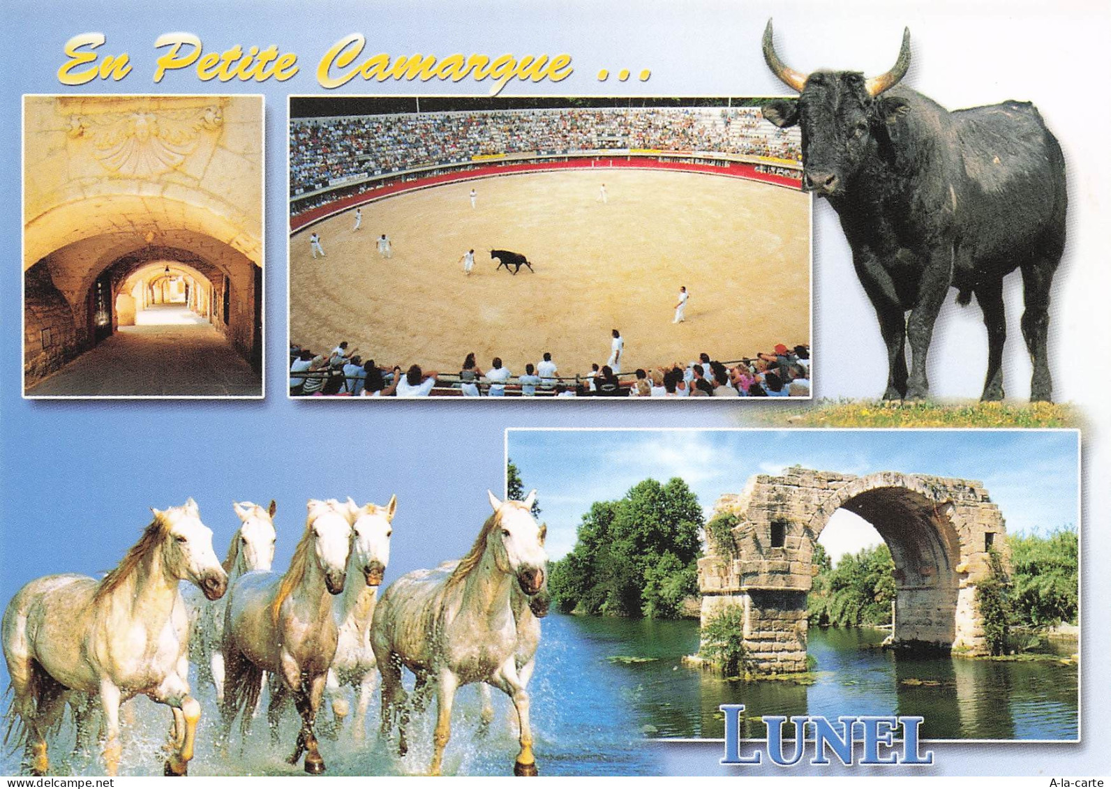 34 LUNEL ARENES DE LUNEL